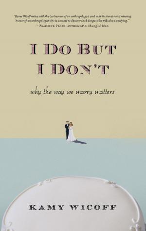 Cover of the book I Do But I Don't by Steven Stavropoulos
