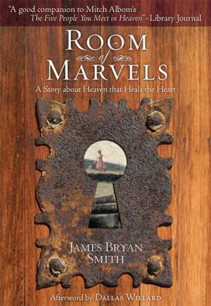 Book cover of Room of Marvels