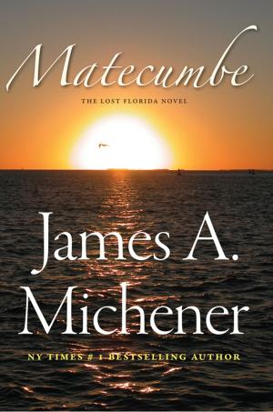 Book cover of Matecumbe