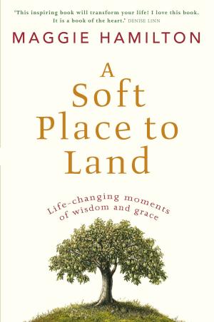Cover of the book A Soft Place To Land by Janet Frame