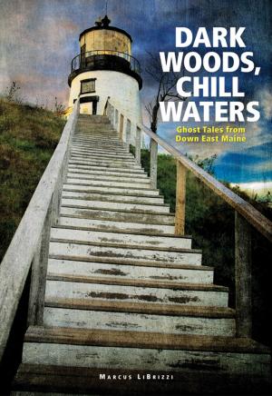 Book cover of Dark Woods, Chill Waters