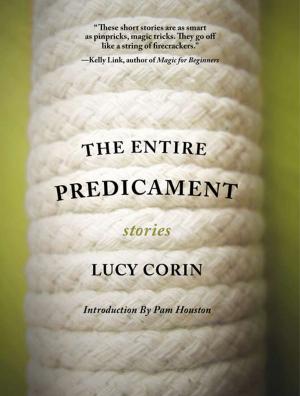 Cover of the book The Entire Predicament by Matt Kish