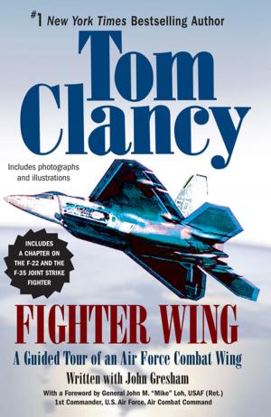 Cover of the book Fighter Wing by Jake Logan