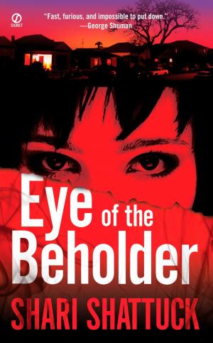 Cover of the book Eye of the Beholder by Georges Simenon