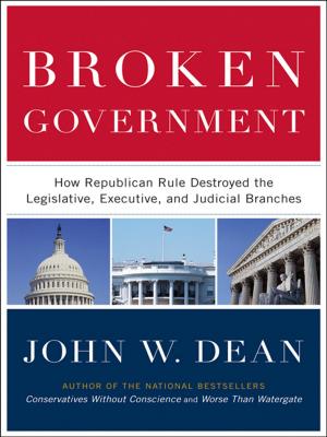 Cover of the book Broken Government by Brittni Vega
