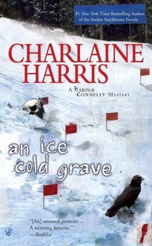Cover of the book An Ice Cold Grave by Sara Paretsky