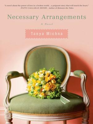 Cover of the book Necessary Arrangements by Wes Burgess