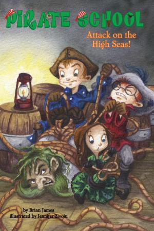 Cover of the book Attack on the High Seas! #3 by Janelle Armstrong