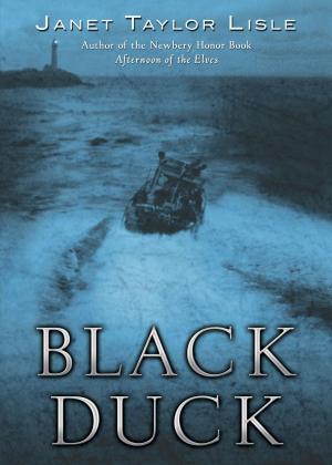 Cover of the book Black Duck by Corey Rosen Schwartz