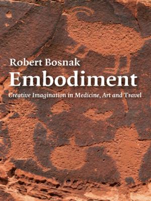 Cover of the book Embodiment by Matt Bernstein Sycamore