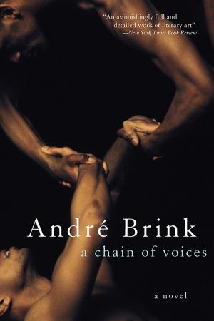 Cover of the book A Chain of Voices by Joan Aiken