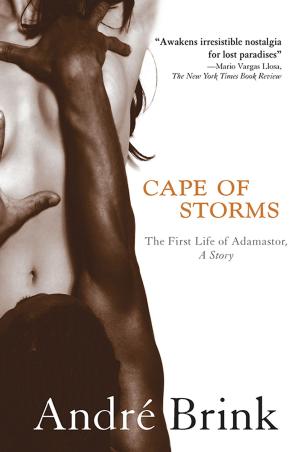 bigCover of the book Cape of Storms by 
