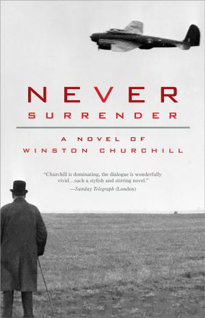 Book cover of Never Surrender