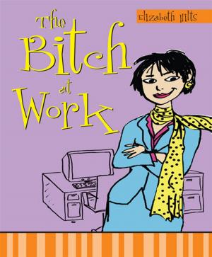 Cover of the book The Bitch at Work by Peter Selfridge, Benjamin Selfridge, Jennifer Osburn