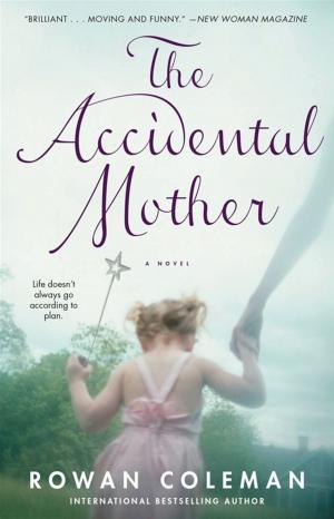 Cover of the book The Accidental Mother by Janet Dailey