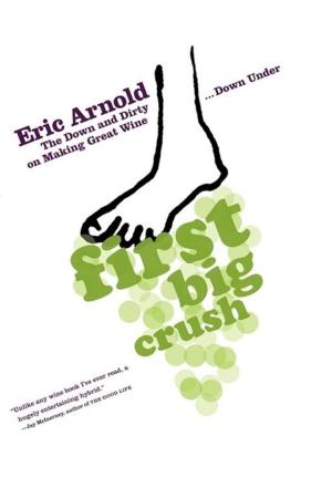 Cover of the book First Big Crush by Lori Ostlund