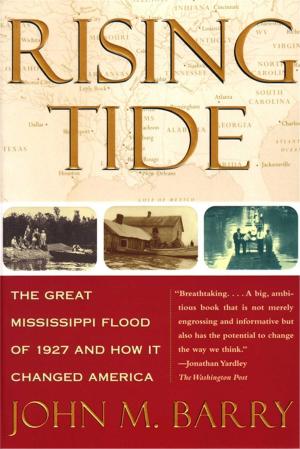 Cover of the book Rising Tide by Shepherd Mead