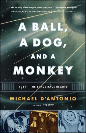 Book cover of A Ball, a Dog, and a Monkey