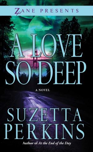 Cover of the book A Love So Deep by Sylvester Stephens