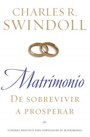 Cover of the book Matrimonio: De sobrevivir a prosperar by John F. MacArthur