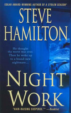 Cover of the book Night Work by Martin Thompson