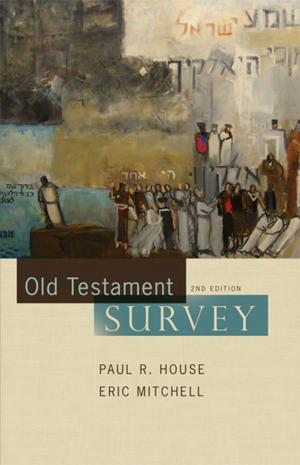 Cover of the book Old Testament Survey by Jeff Struecker, Alton Gansky