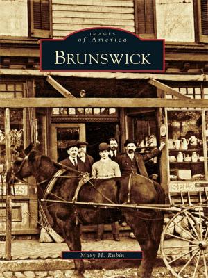 Cover of the book Brunswick by Jacob R. Mecklenborg