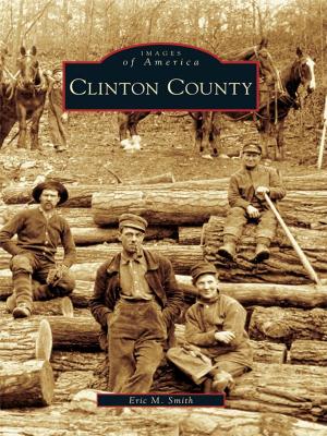 Cover of the book Clinton County by Alan Brown