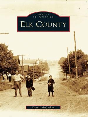 Cover of the book Elk County by Curtis Schieber