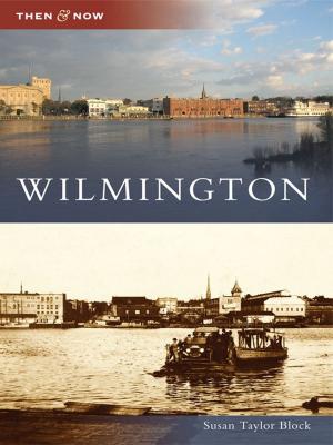 Cover of the book Wilmington by Ruth Burke, Don Holbrook