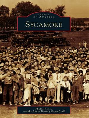 Cover of the book Sycamore by Shannon McRae