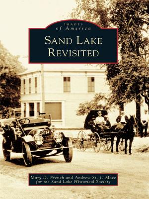 Cover of the book Sand Lake Revisited by Don Chow, Jennifer Lim