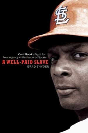 Cover of the book A Well-Paid Slave by Robin Stone
