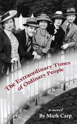 Cover of the book The Extraordinary Times of Ordinary People by Fungai O Maboreke