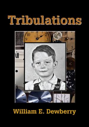 Cover of the book Tribulations by Christopher Brandlin