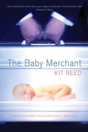 Book cover of The Baby Merchant