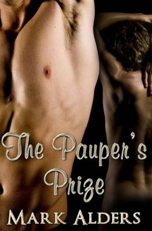 Book cover of The Pauper's Prize