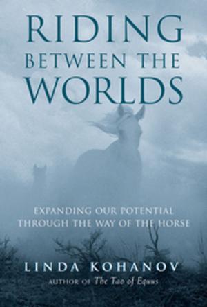Book cover of Riding Between the Worlds