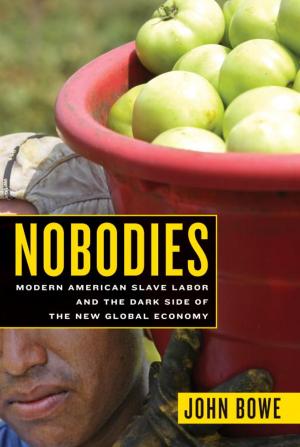 Cover of the book Nobodies by Terry Brooks