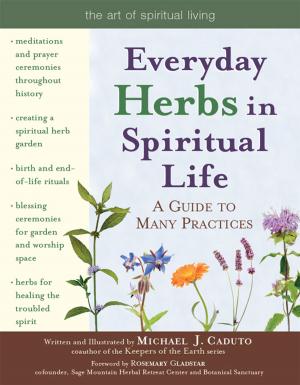 Cover of the book Everyday Herbs in Spiritual Life: A Guide to Many Practices by Dr. Sheryl A. Kujawa-Holbrook