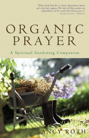 Cover of the book Organic Prayer by Vicki K. Black