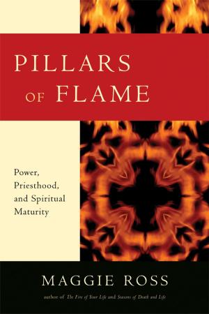 Cover of the book Pillars of Flame by Neal O. Michell