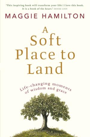 Cover of the book A Soft Place to Land by Margaret Clark