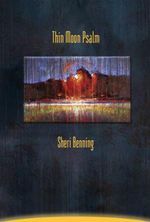 Cover of the book Thin Moon Psalm by John Reibetanz