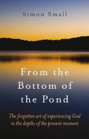 Cover of the book From the Bottom of the Pond by C. McGee