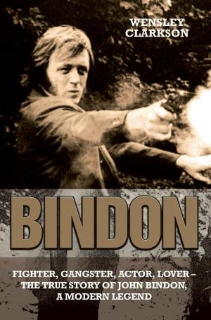 Cover of the book Bindon by Edward Pomerantz