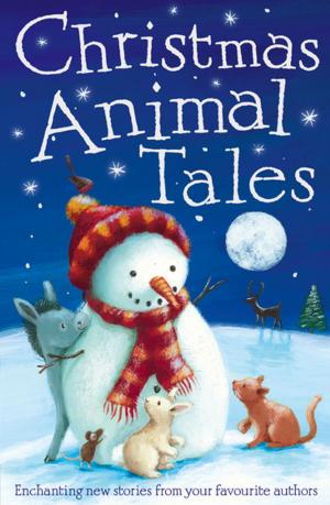 Cover of Christmas Animal Tales by Adèle Geras,                 Michael Broad,                 Vivian French,                 Maeve Friel,                 Anna Wilson,                 Penny Dolan,                 Holly Webb,                 Alan Durant, Stripes Publishing