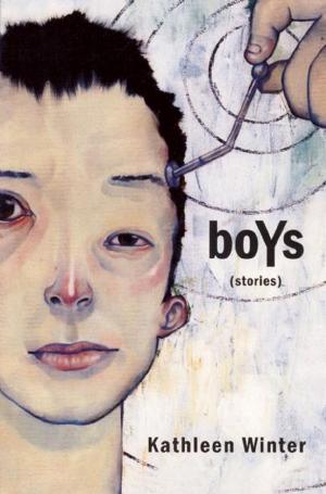 Cover of the book boYs by Alison Moore