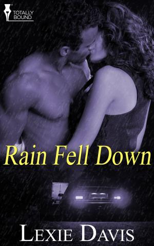 Cover of the book Rain Fell Down by Luna Challis