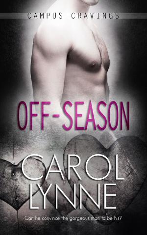 Book cover of Off-Season